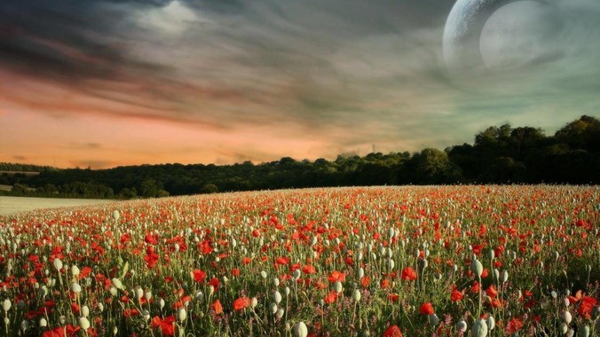 为什么苹果手机杀后台现象频繁？是内存不够、后台管理严格还是其他原因呢？